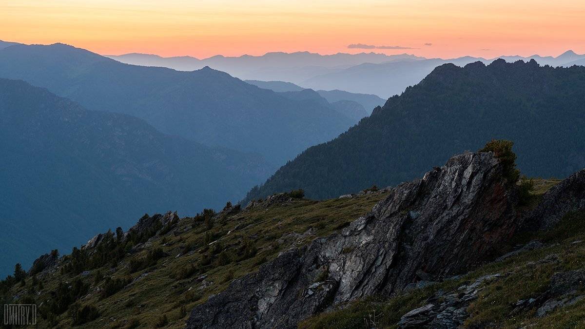 , Дмитрий Доронин