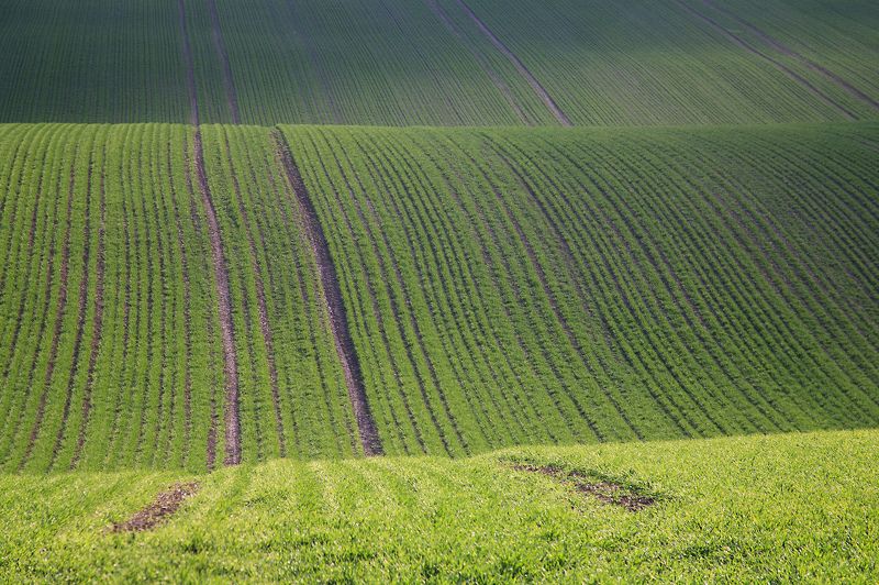 поле весна чехия волны моравии фото превью