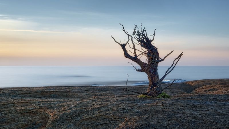 Kavu фото превью