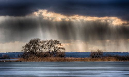 В ожидании дождя