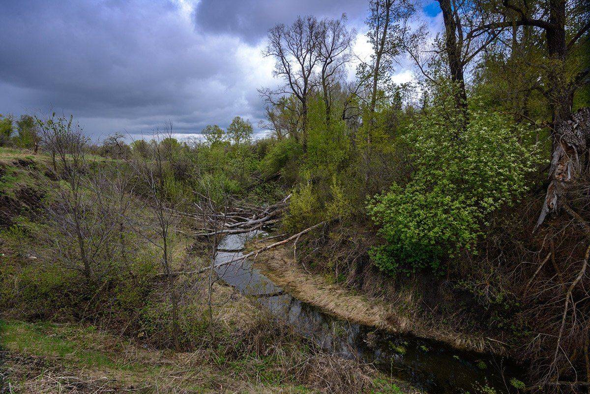Весна, май, речка, Владислав Никишин