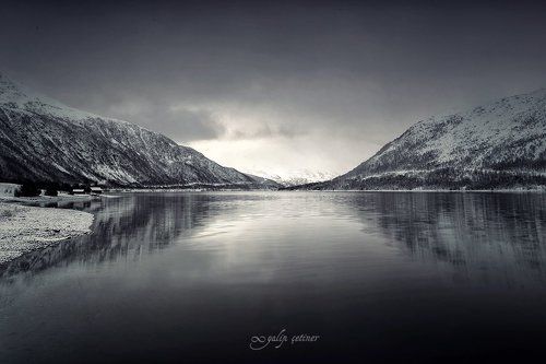Fiskfjord