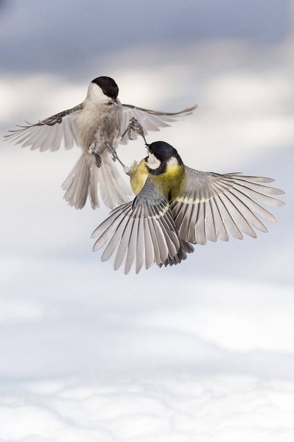 , Сосновских Вячеслав