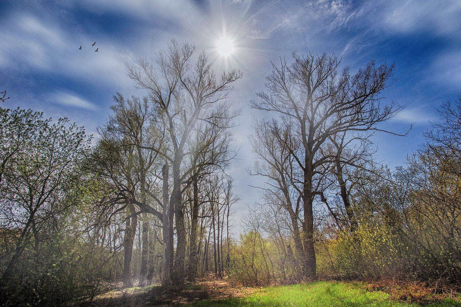 орск оренбургская обл. качурин новотроицк южный урал, Качурин Алексей