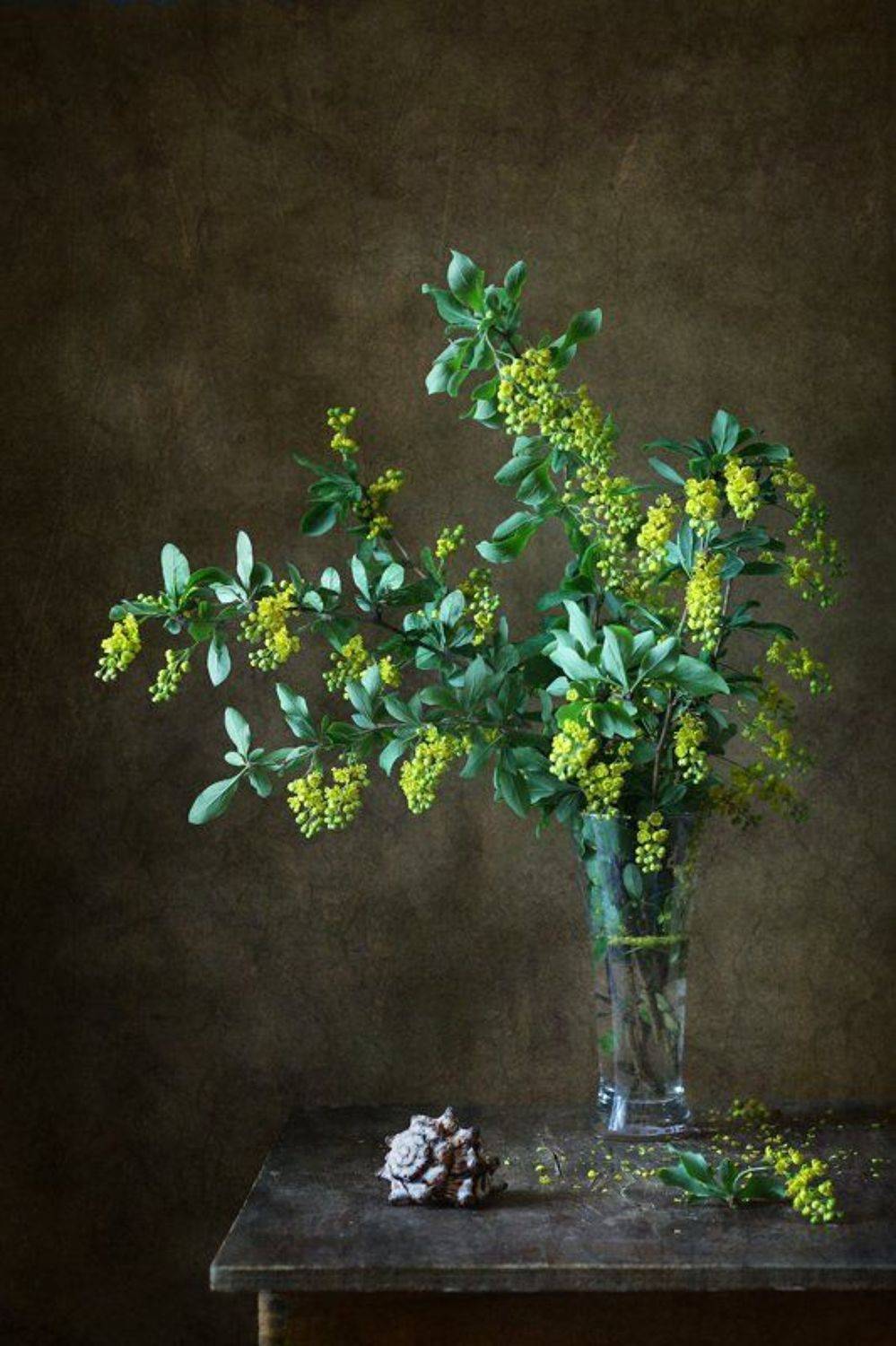 натюрморт, цветы, барбарис, ракушка, Курочкина Диана