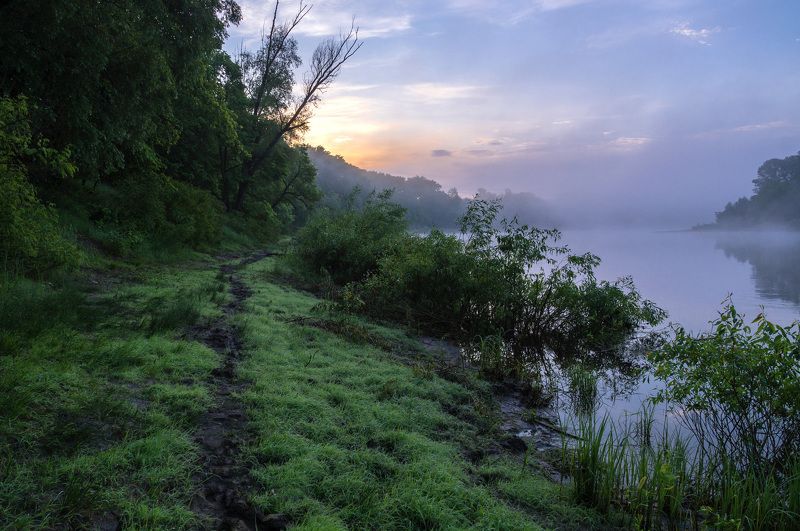 туман,пейзаж,река,рассвет,восход,утро,landscape,nature,fog,morning,sunrise Майские туманы фото превью
