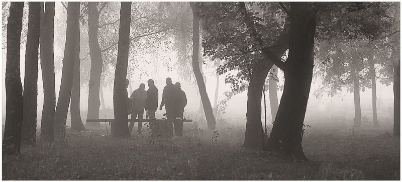 Бешеные псы фото превью