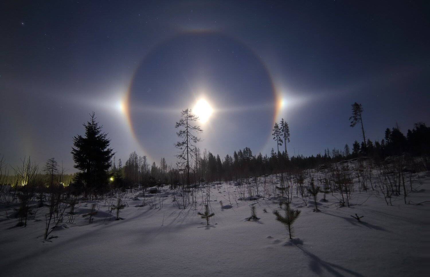 гало, Михаил Рева