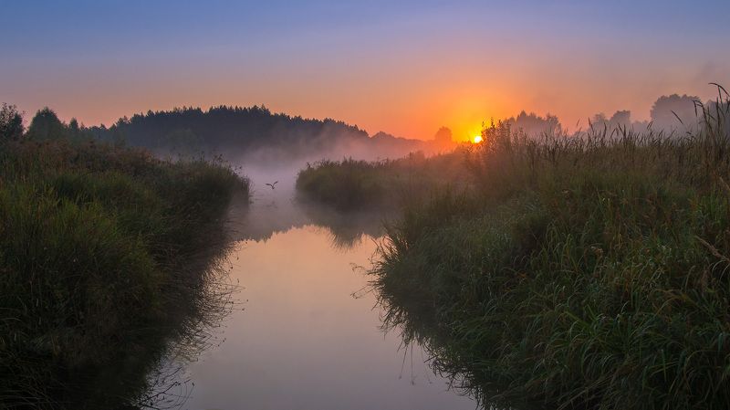 рассвет,восход,пейзаж,природа,утро,роса,озеро,landscape,nature,sunrise,fog,lake Полёт на рассвете фото превью