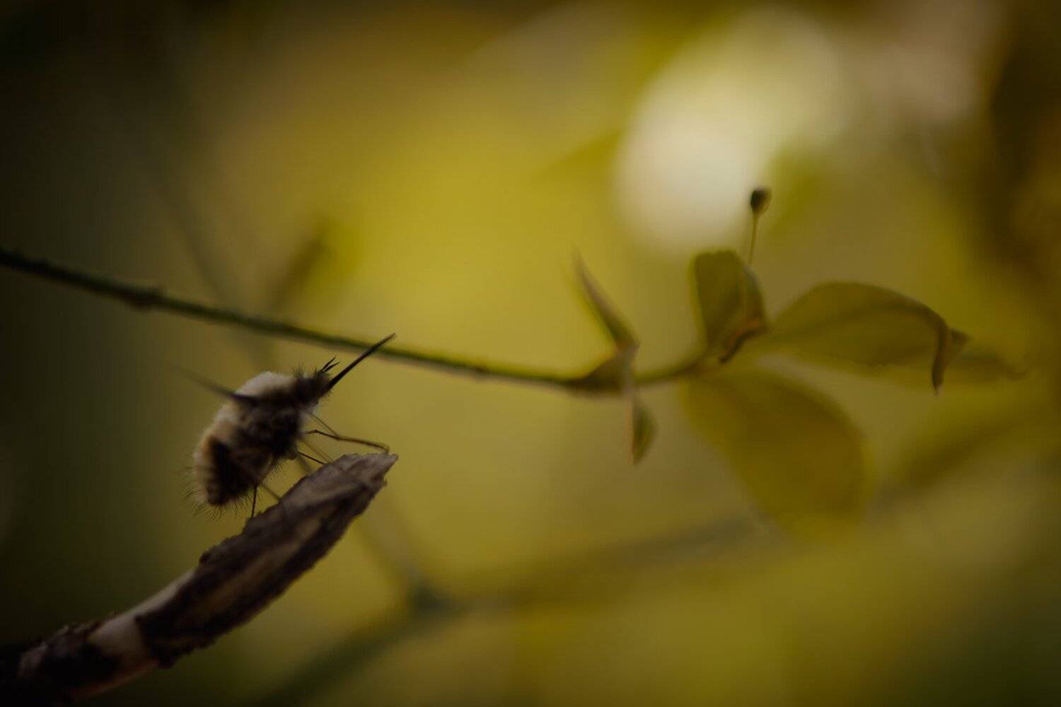 , Кузнецов Дмитрий