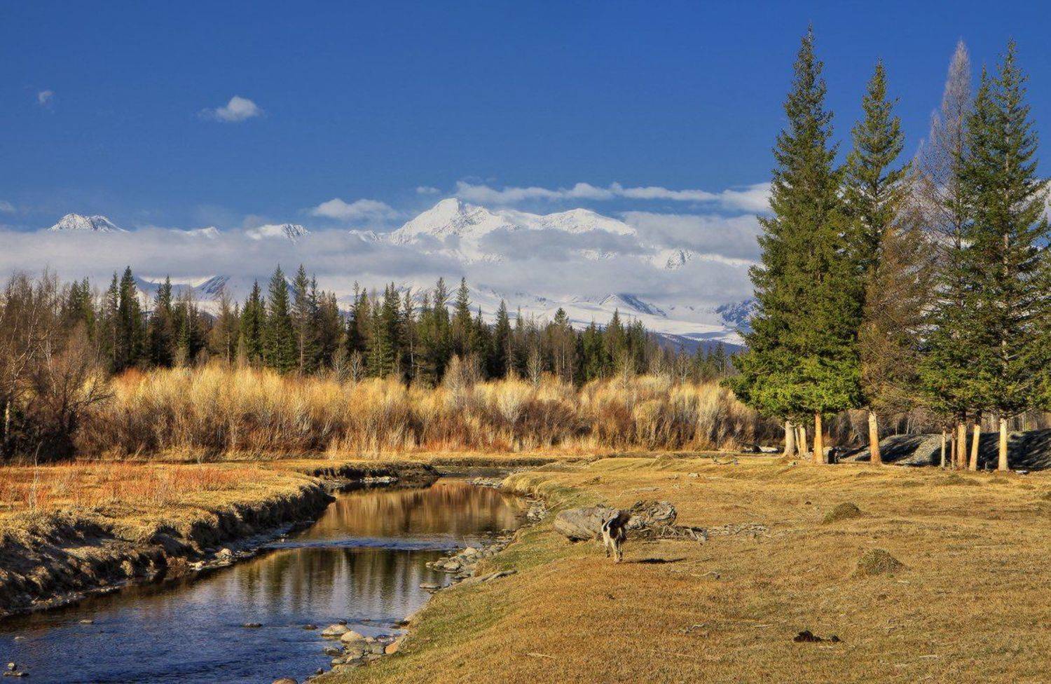 , Галина Хвостенко
