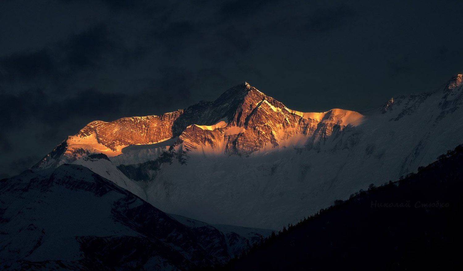 , Николай Стюбко