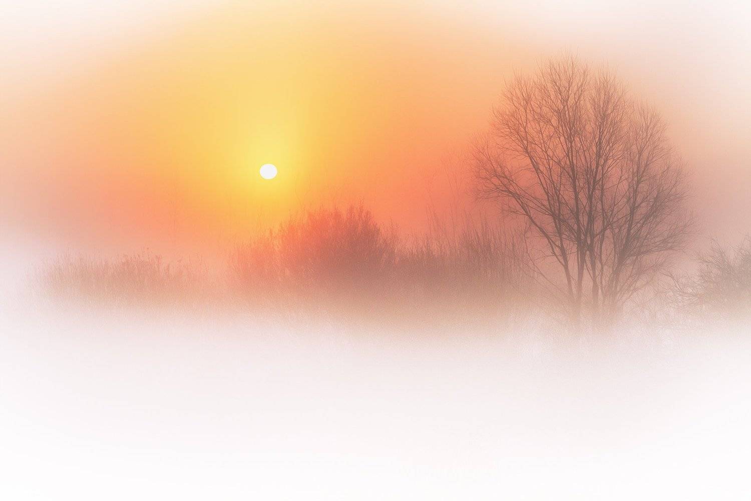 туман, селигер, утро, май, Игорь Шиленок