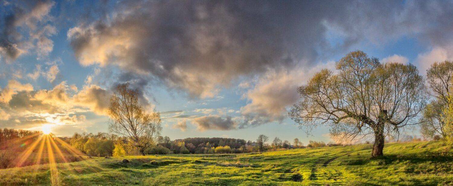 , Николай Андреев