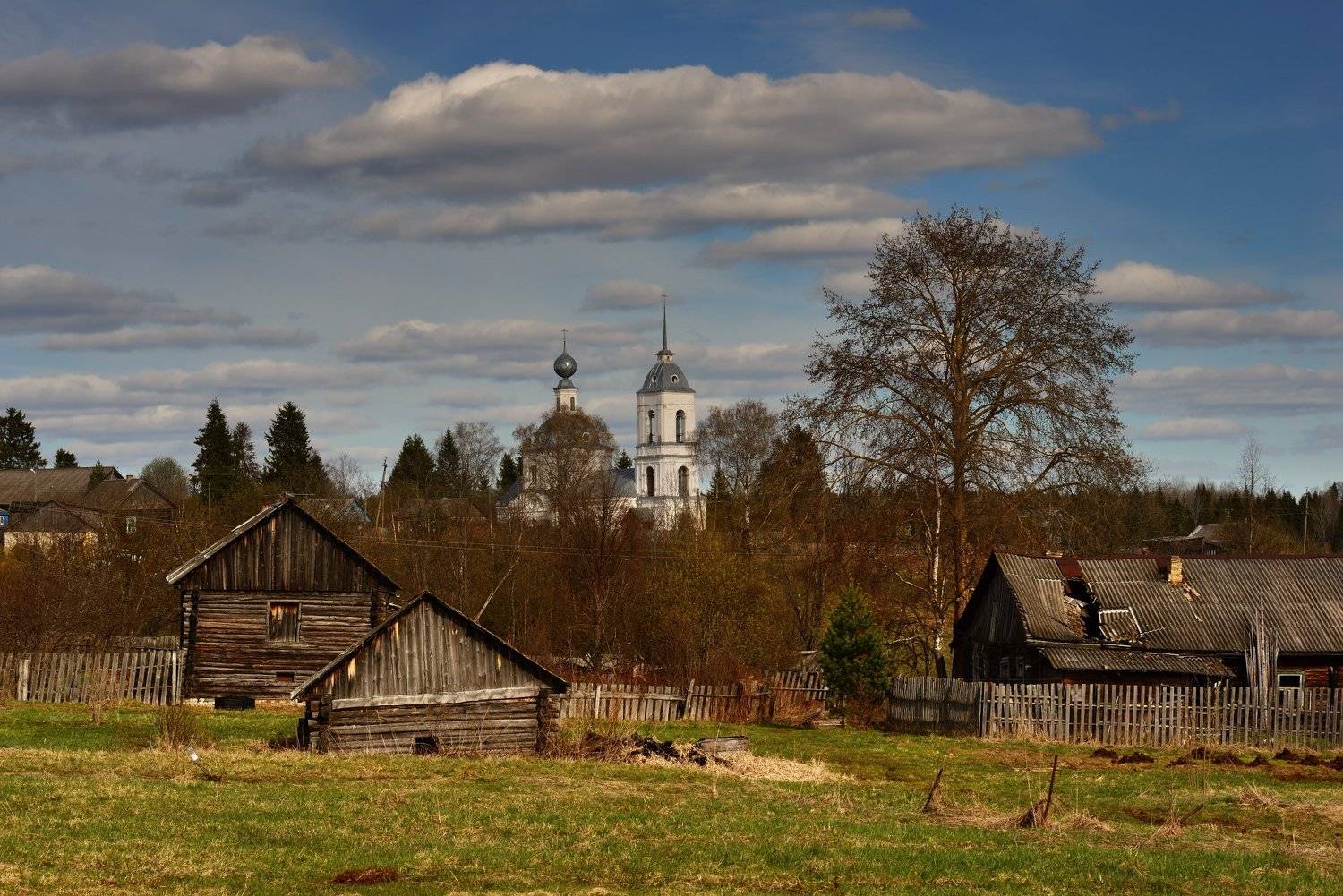 , Максим Евдокимов ( www.wildphotorus.ru )