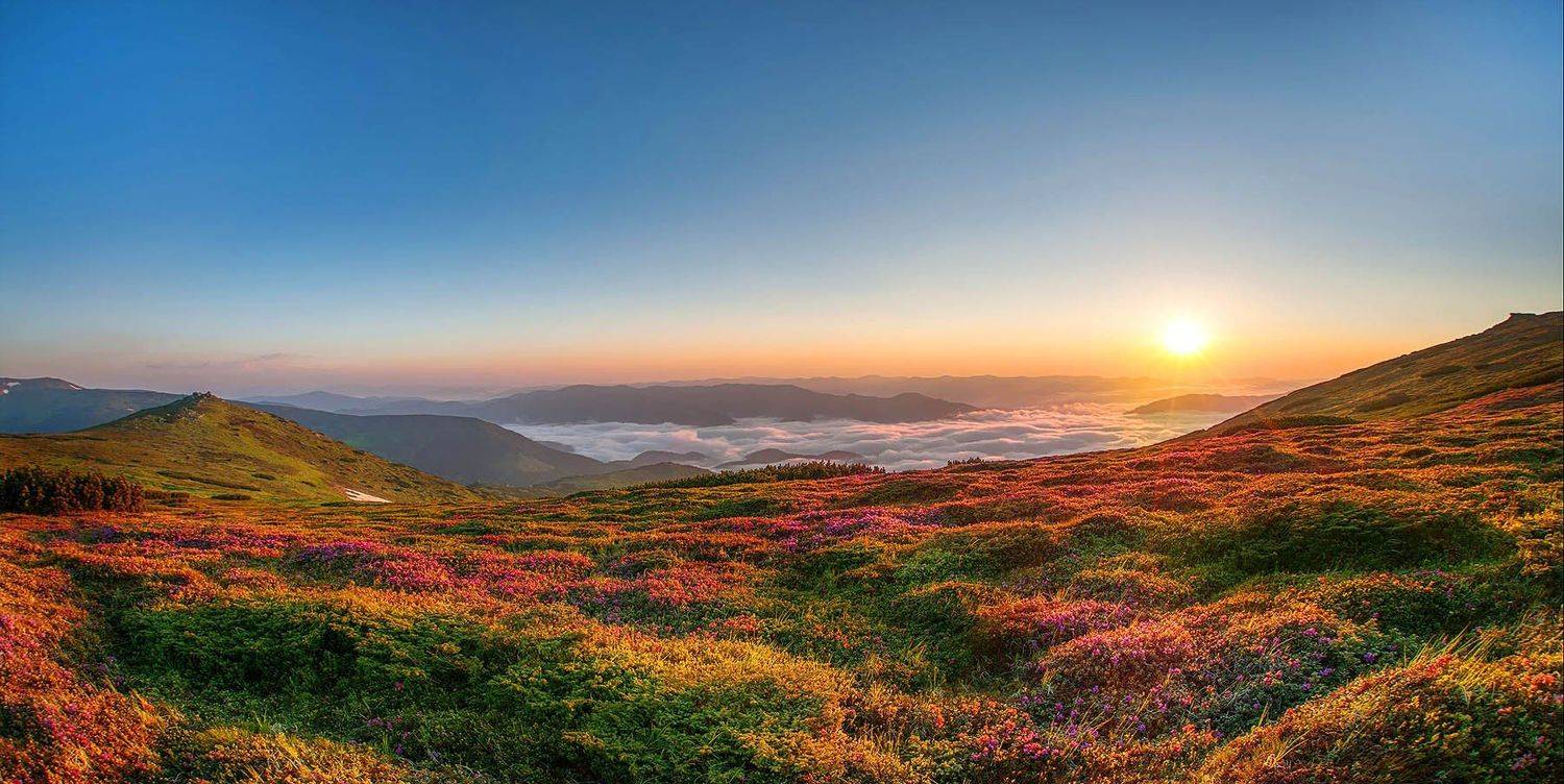 , Kantsyrenko Sergey