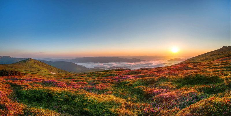 *** фото превью