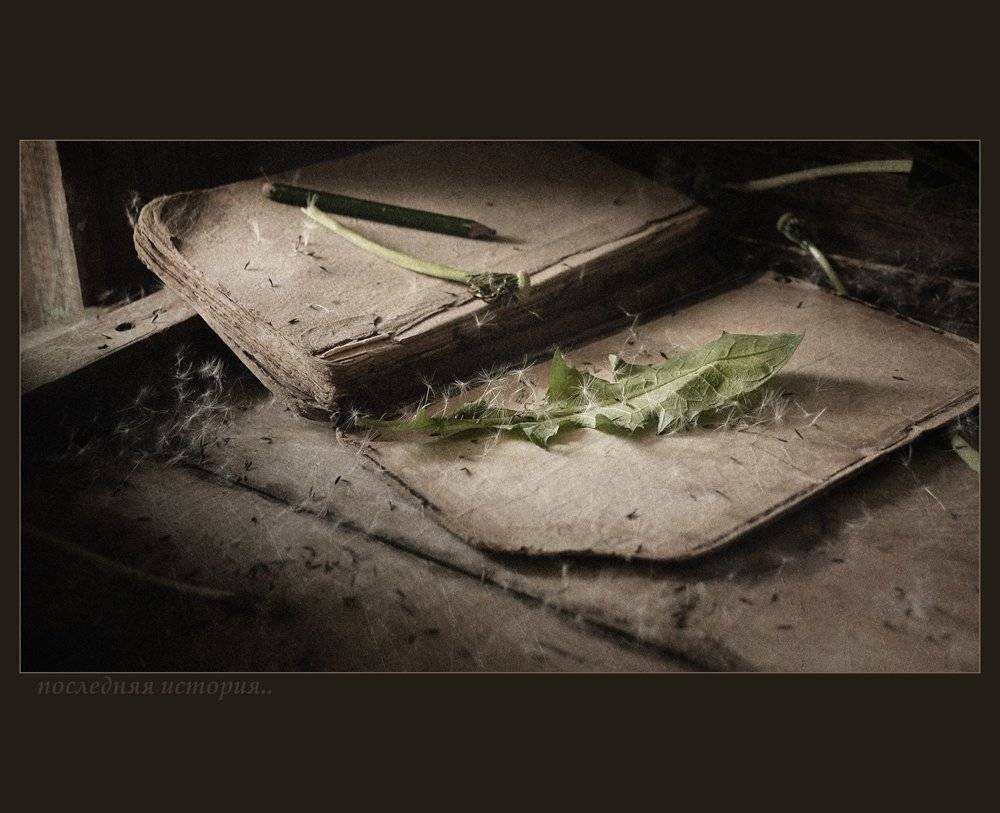 , Александр Хромеев