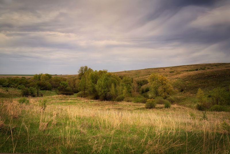 степь балки хопер По Шолоховским местам фото превью