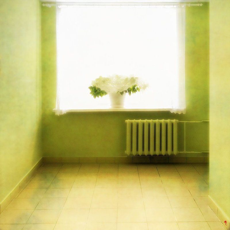 ph. «зеленый коридор, больницы №6», из серии [Impotence of color] фото превью