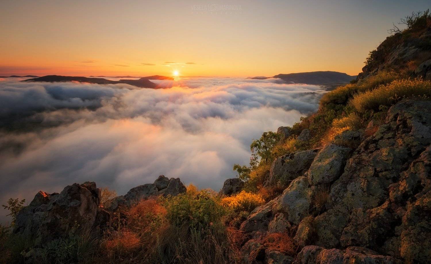 , Весела Маринова