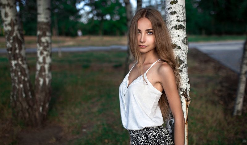 Березки фото превью