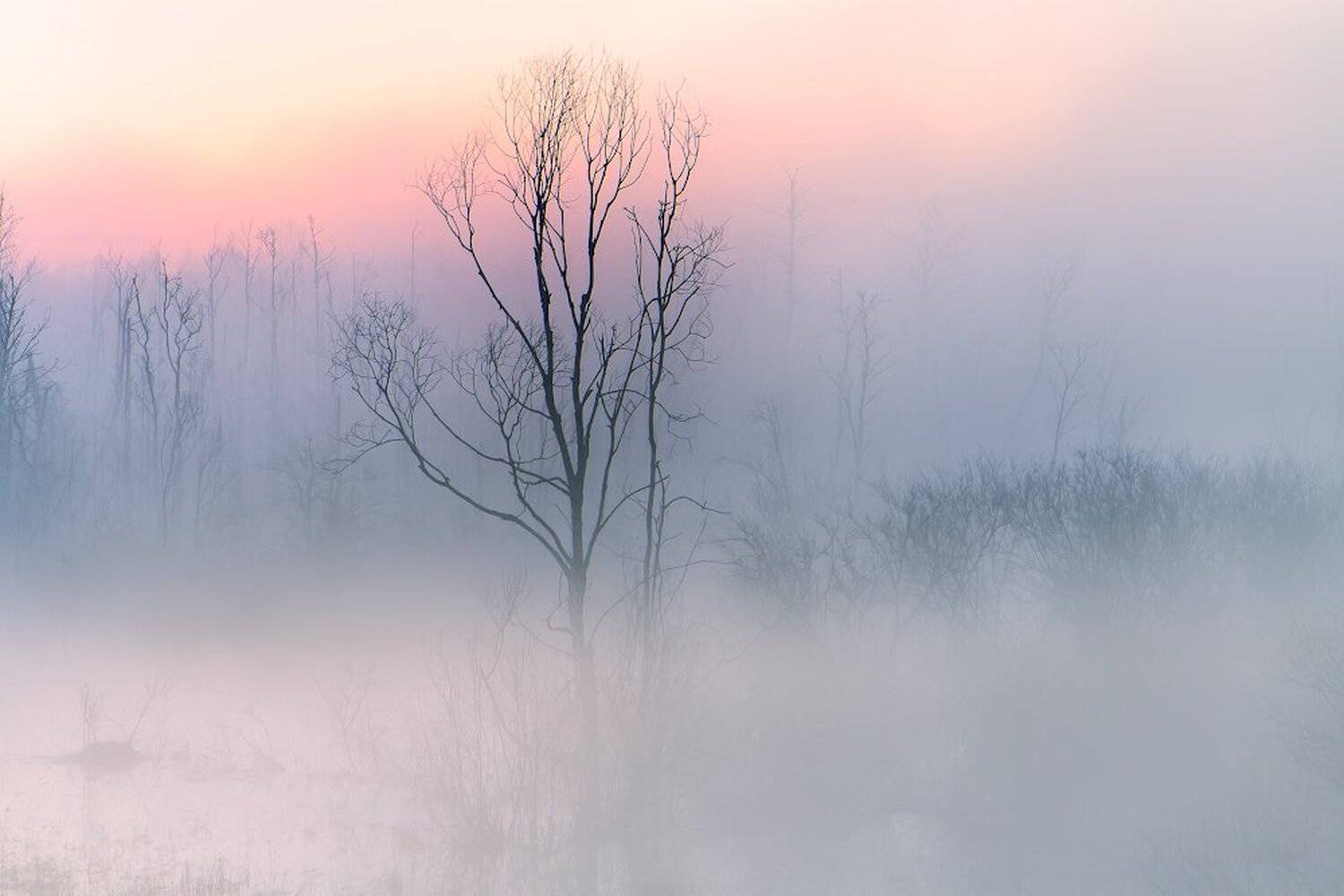 туман, селигер, весна, утро, рассвет, май, Игорь Шиленок