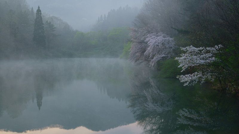Early morning mist фото превью