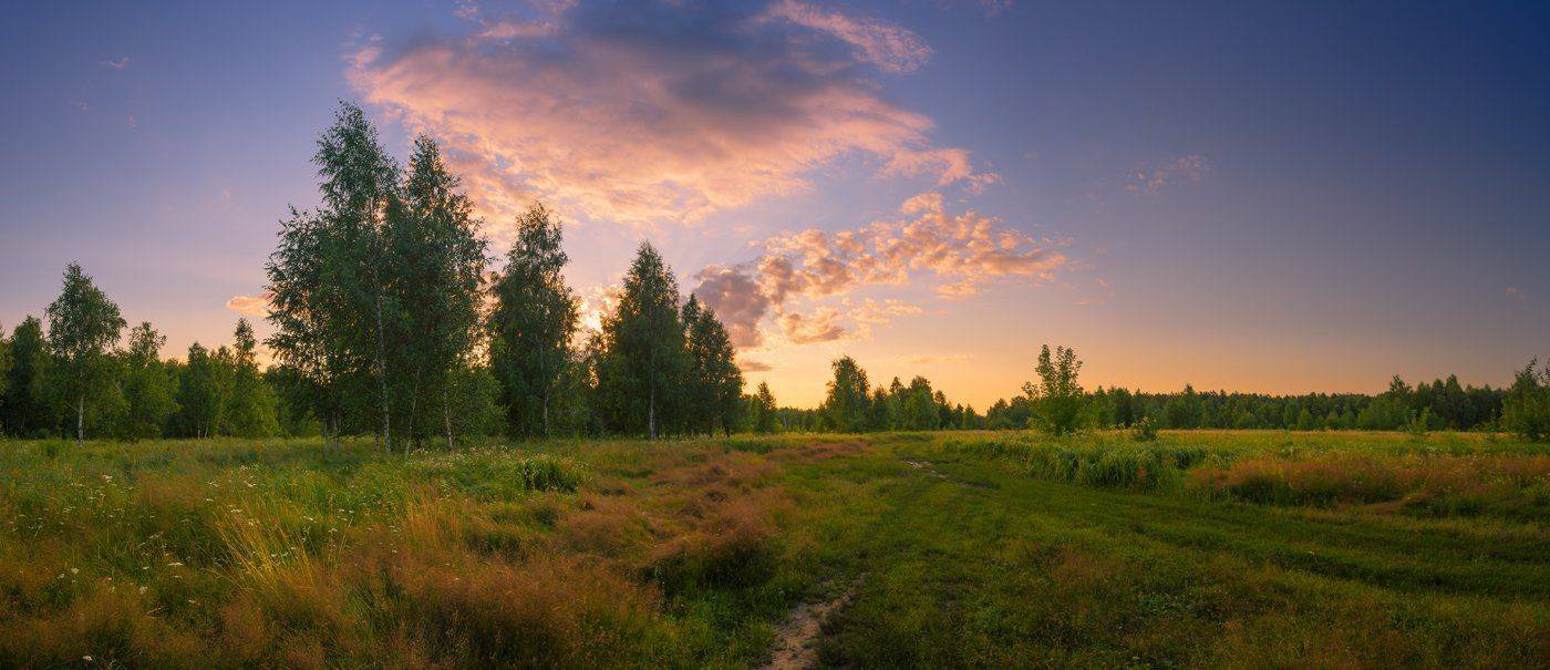 луг, лето, вечер, закат, Галанзовская Оксана