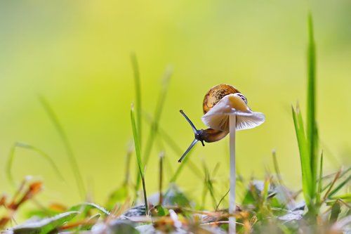 На тонкой ножке