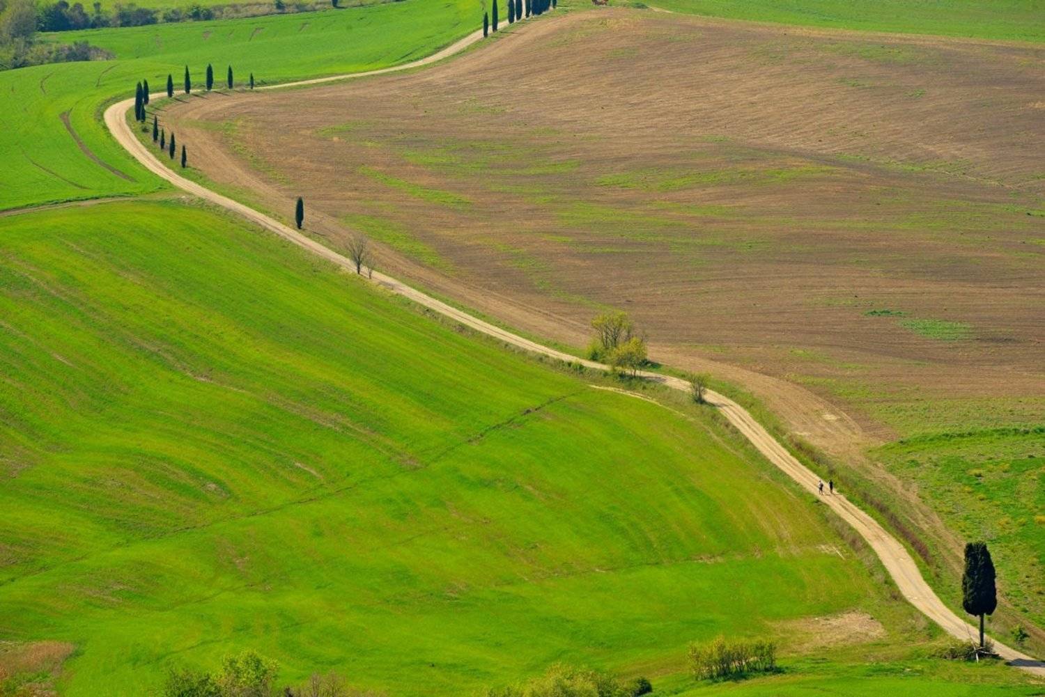Тоскана, Италия, Олег Потехин