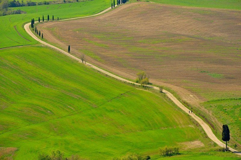 Тоскана, Италия Тоскана фото превью