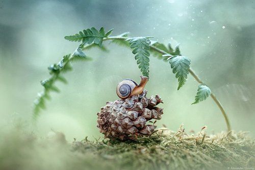 Таинство жизни