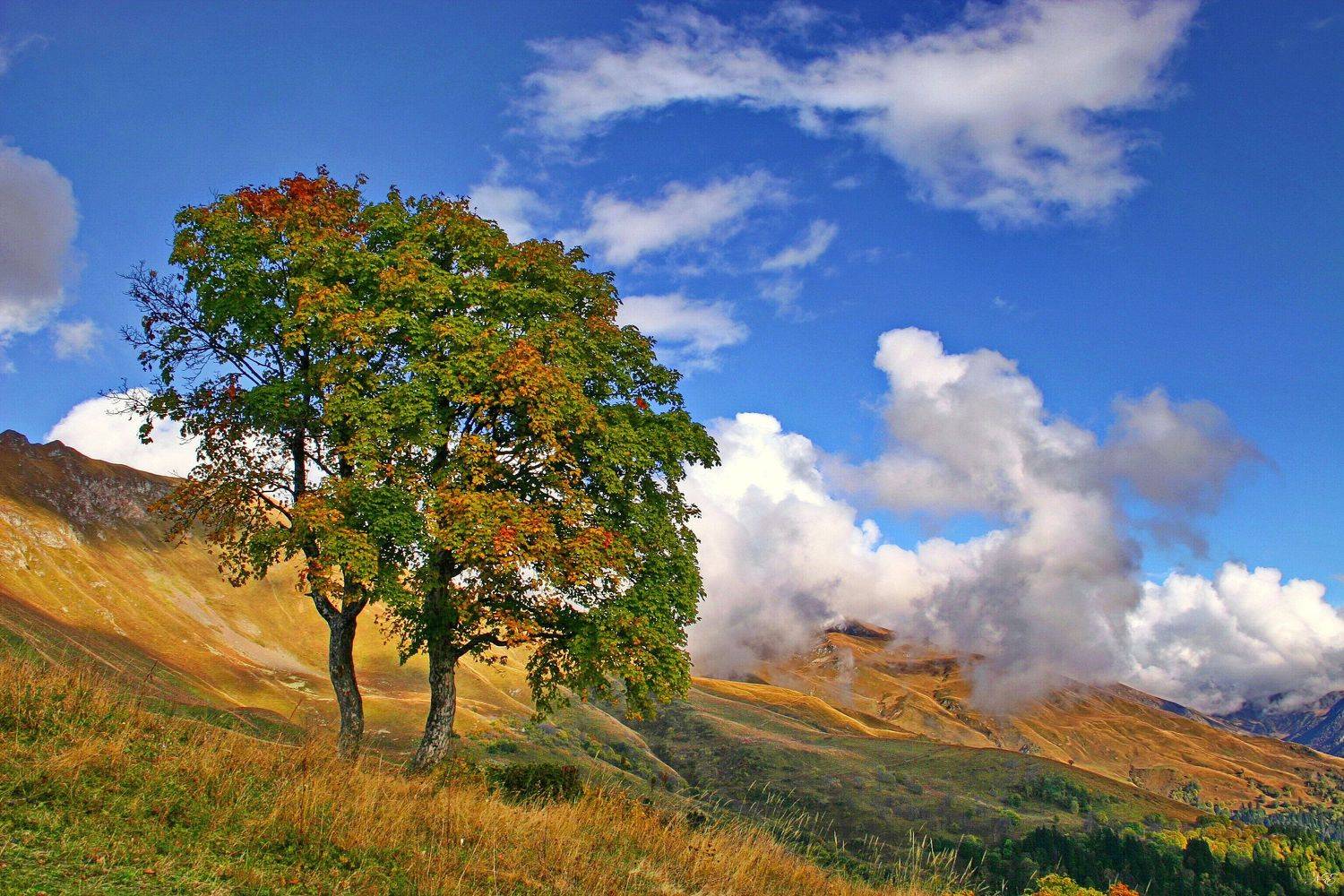 осень горы клёны, Евгений Никишин