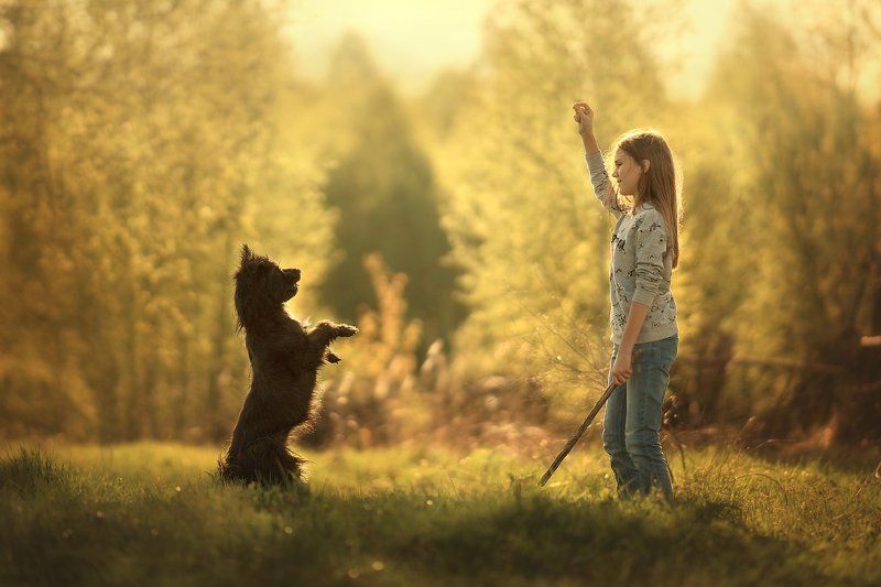 На все готов) фото превью