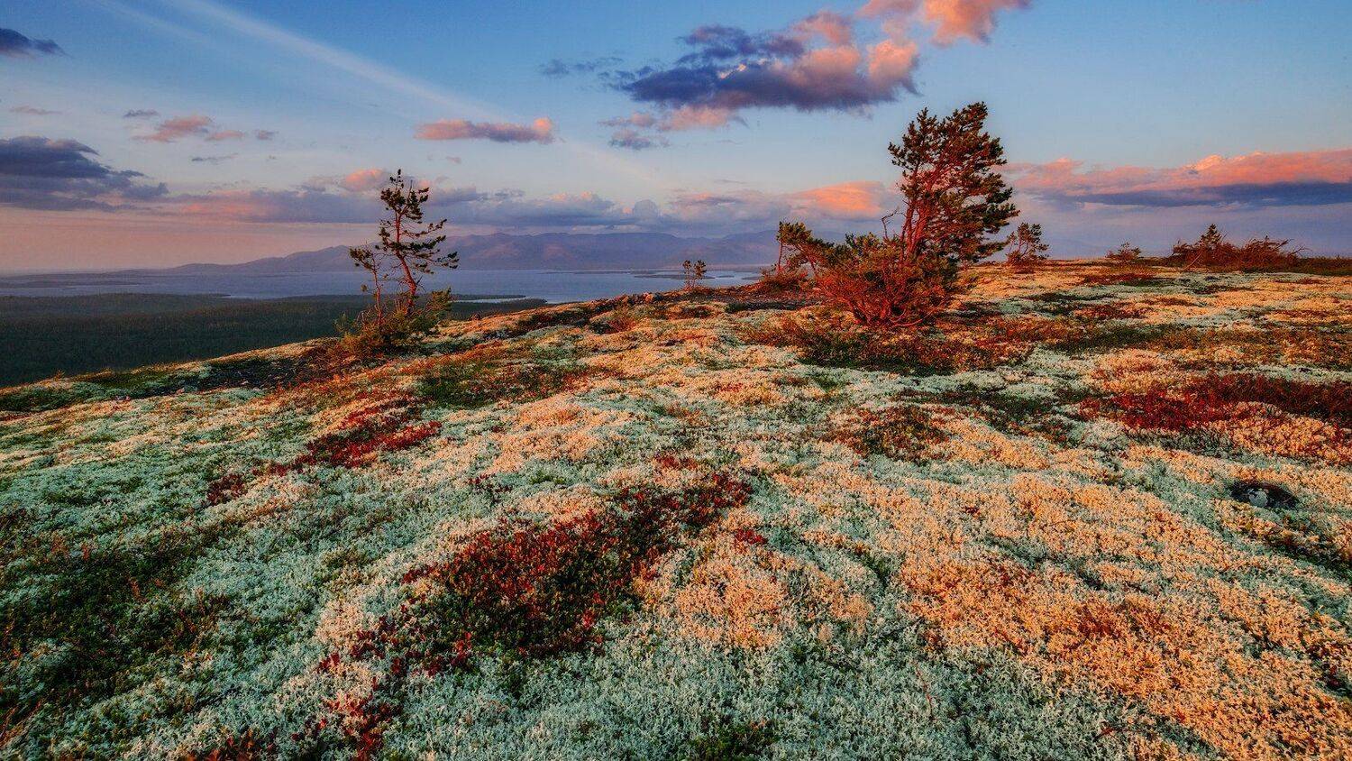 кольский, север,заполярье, хибины, лето,вечер,сопка,имандра,, Роман Горячий