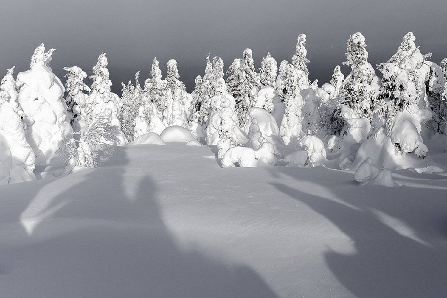 урал,зима,таганай,белый,горы,снег,солнце, Dmitry Bastet