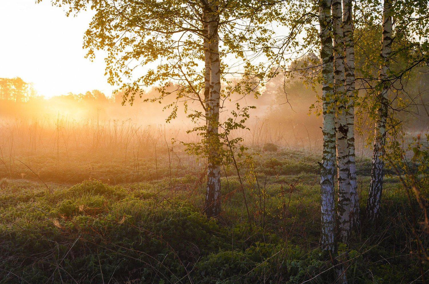 , Ефремов Юрий