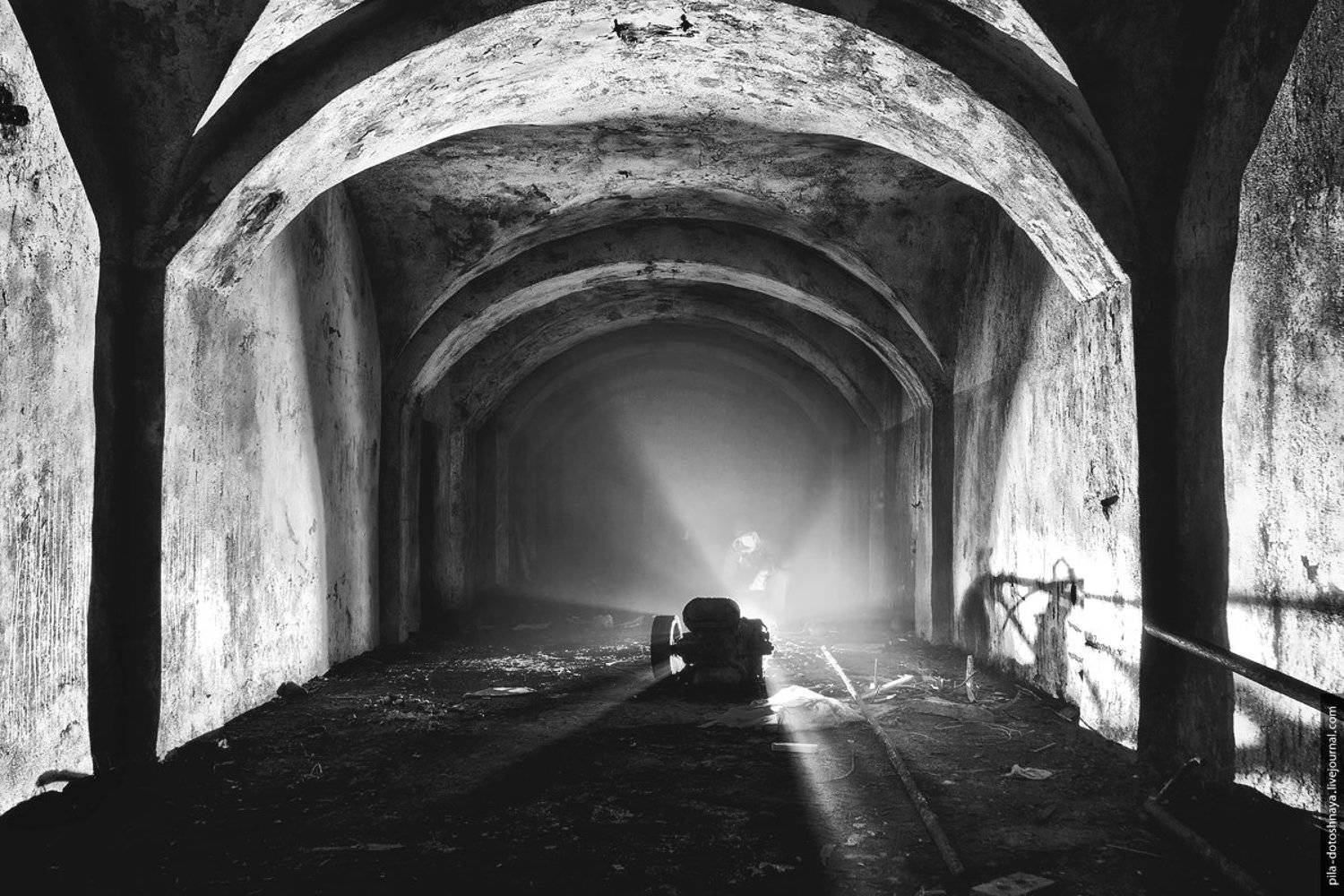 , Анна Аринова