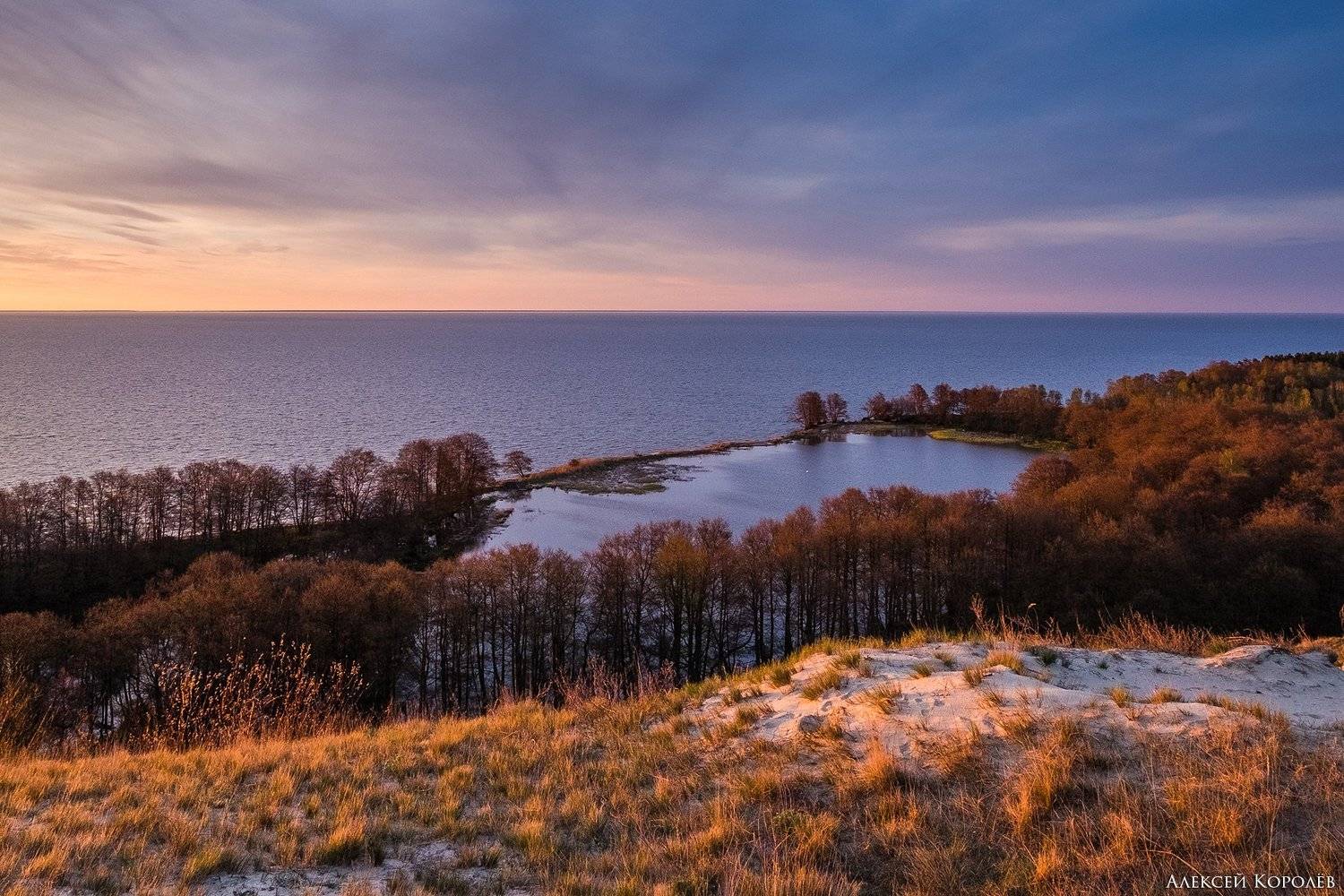 калининградская область, россия, куршская коса, озеро, весна, песок, восход, природа, пейзаж, kaliningrad region, russia, curonian spit, lake, spring, sand, sunrise, nature, landscape, Алексей Королёв