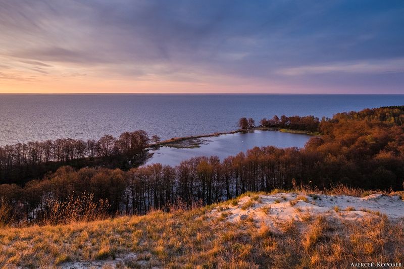 калининградская область, россия, куршская коса, озеро, весна, песок, восход, природа, пейзаж, kaliningrad region, russia, curonian spit, lake, spring, sand, sunrise, nature, landscape Озеро Лебедь фото превью