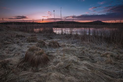 Уральское болото