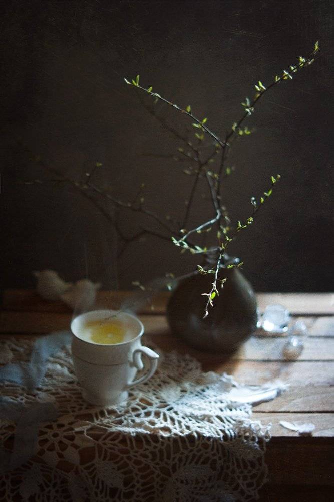 натюрморт, stil life, чай, лимон, чашка, ветка, весна, листья, Виктория