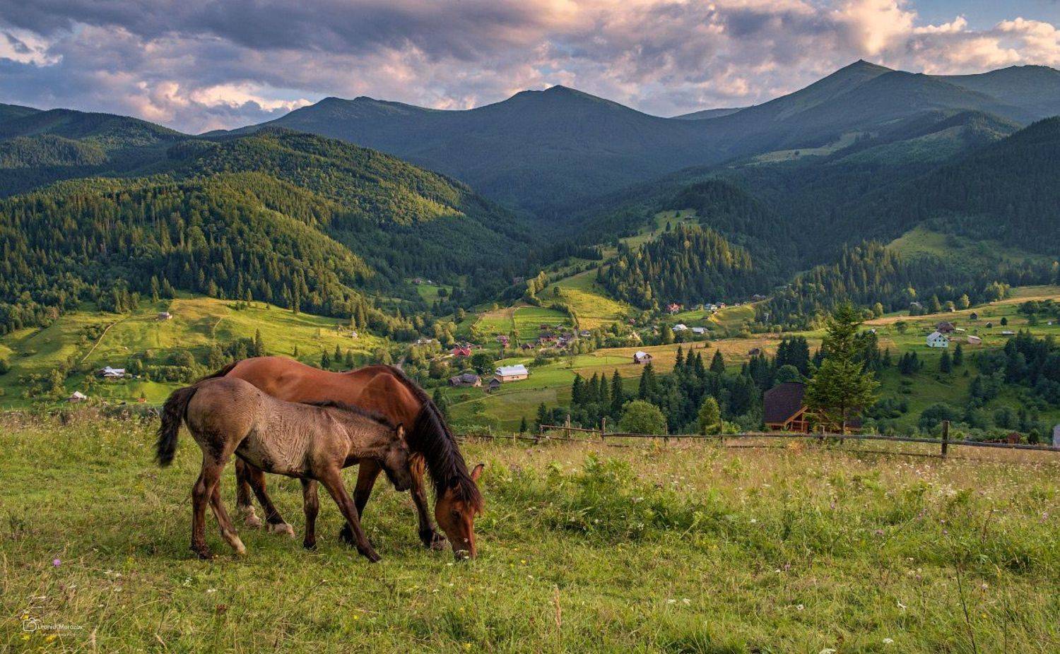 пейзаж природа город облака небо карпаты горы, Леонид Морозов