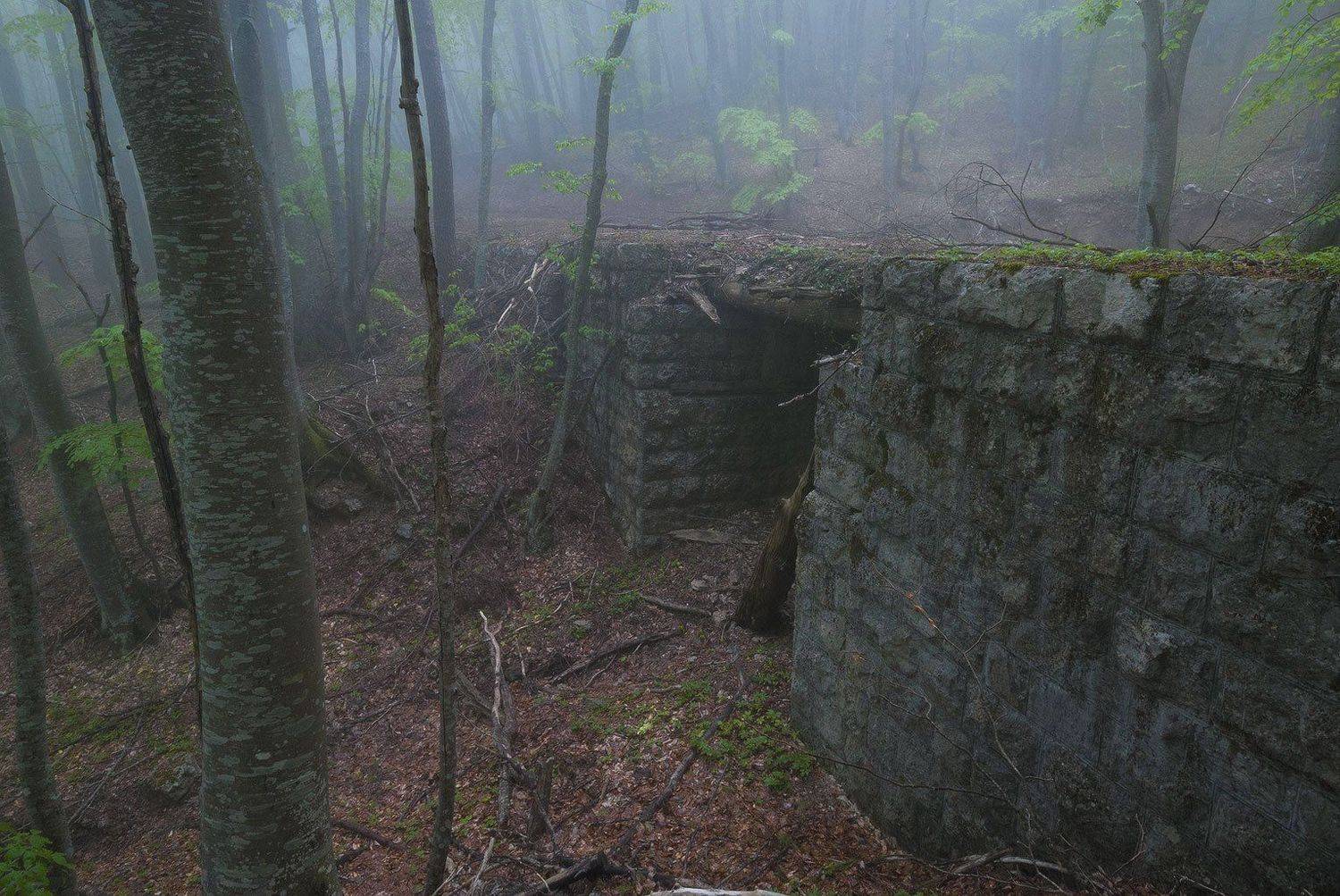 , Саша  Вайсберг / Waldschnepfe /