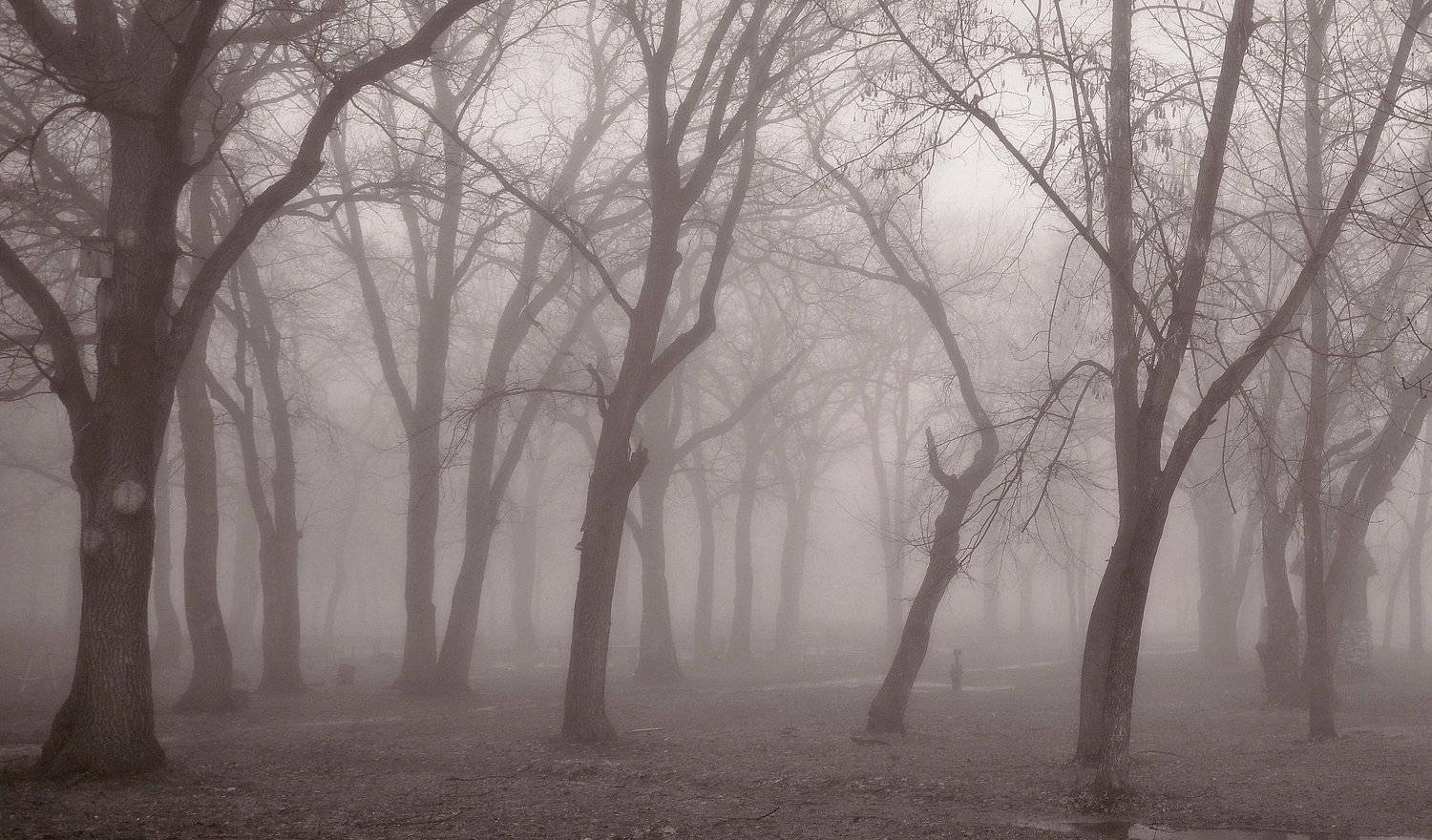 , Александр Филатов