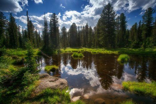 Солнечным днем