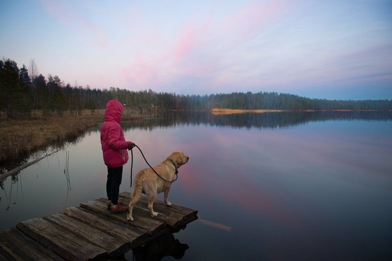 закат Посмотреть на закат фото превью
