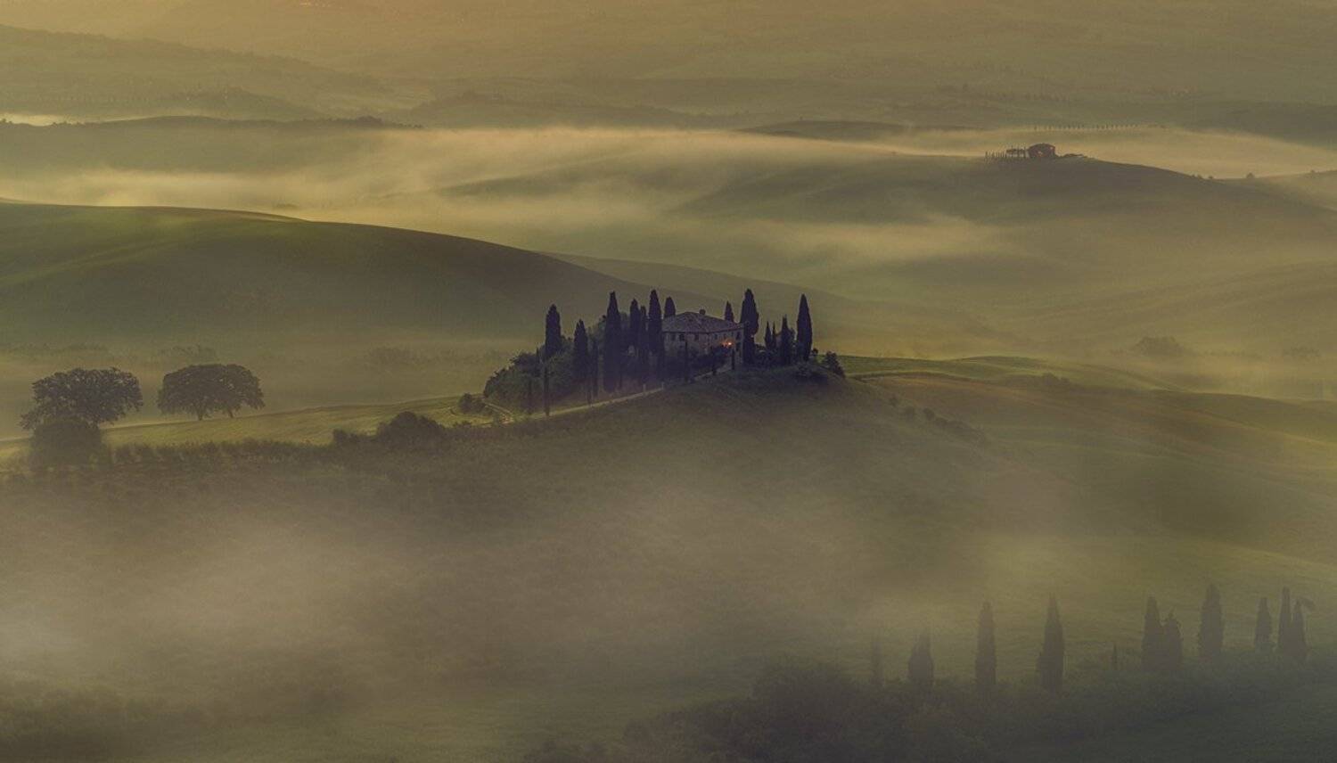 , Тодор Танев