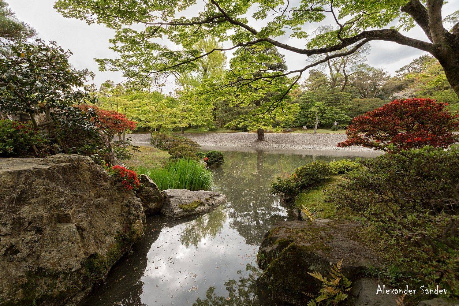 , Александър Сандев